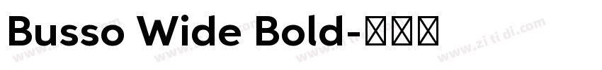 Busso Wide Bold字体转换